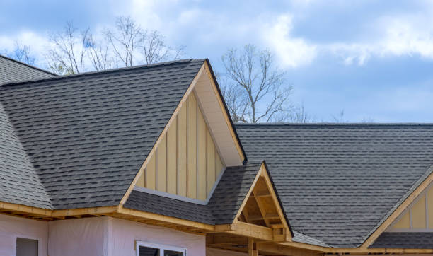 Best Green or Eco-Friendly Roofing Solutions  in North Riverside, IL
